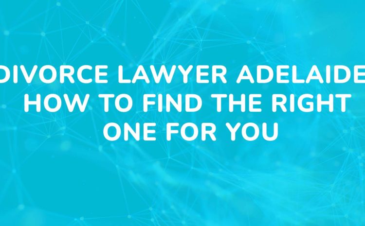Divorce Lawyer Adelaide How to Find the Right One for You