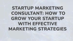 Startup Marketing Consultant How to Grow Your Startup with Effective Marketing Strategies