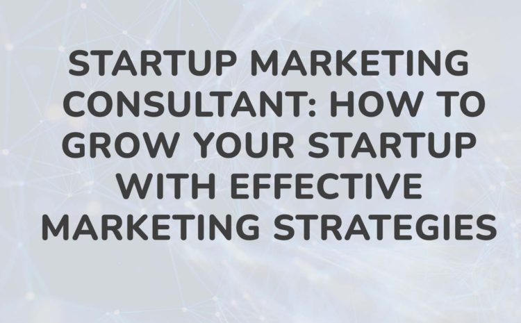 Startup Marketing Consultant How to Grow Your Startup with Effective Marketing Strategies